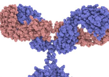 Clinical Stage Antibody Drug Conjugates in Active Development – 2021