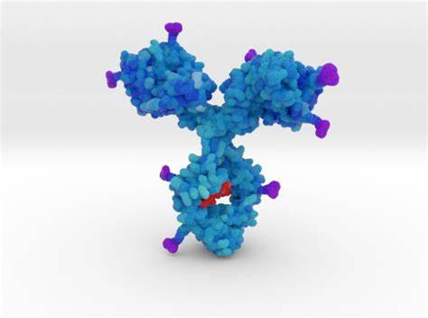 Pre-Clinical Stage Antibody Drug Conjugates in Active Development ...