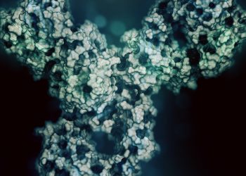 Pre-Clinical Stage Monoclonal Antibodies in Active Development – 2021