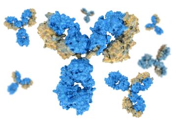 Clinical Stage Monoclonal Antibodies in Active Development – 2021