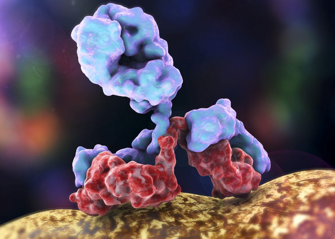 Bispecific Antibody Oncology Drug Insights by OmicsX