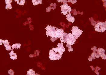 Approved Monoclonal Antibodies for Cancer Treatment