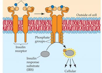 Approved Small Molecule Kinase (Non-Oncology) Inhibitors