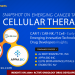 Cancer Targeting Cellular Therapies