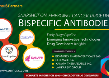 Bispecific Antibodies