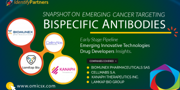 Bispecific Antibodies