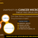 Cancer Microbiome Targeting Emerging Drug Developers