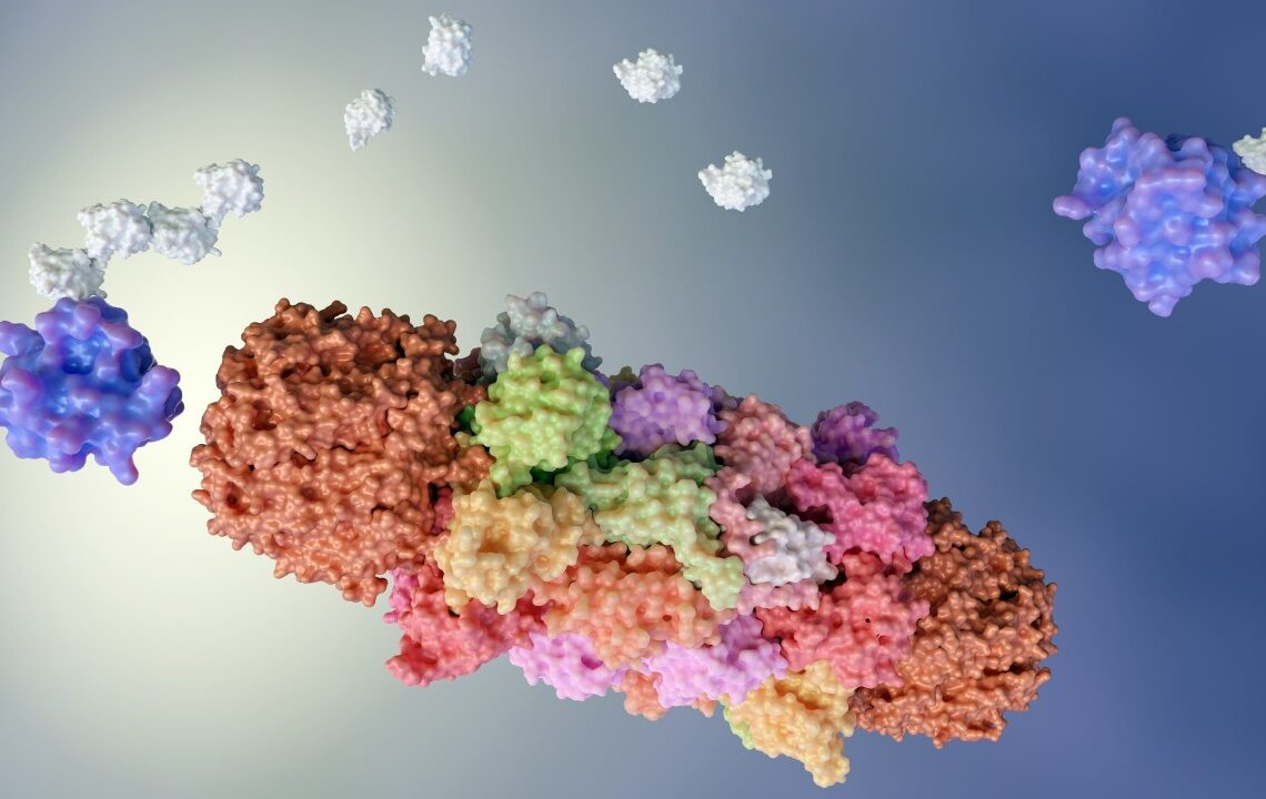 The BTK Degrader Revolution: How BeiGene’s BGB-16673 Could Redefine Blood Cancer Treatment with Phase III Breakthrough