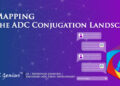 Mapping the ADC Conjugation Landscape