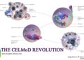 The CELMoD Revolution: How Bristol-Myers’ Iberdomide and Mezigdomide Could Redefine Multiple Myeloma Treatment with Billion-Dollar Market Impact